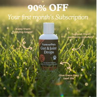 ForeverPets® PRO+ Gut & Joint Probiotic Drops™