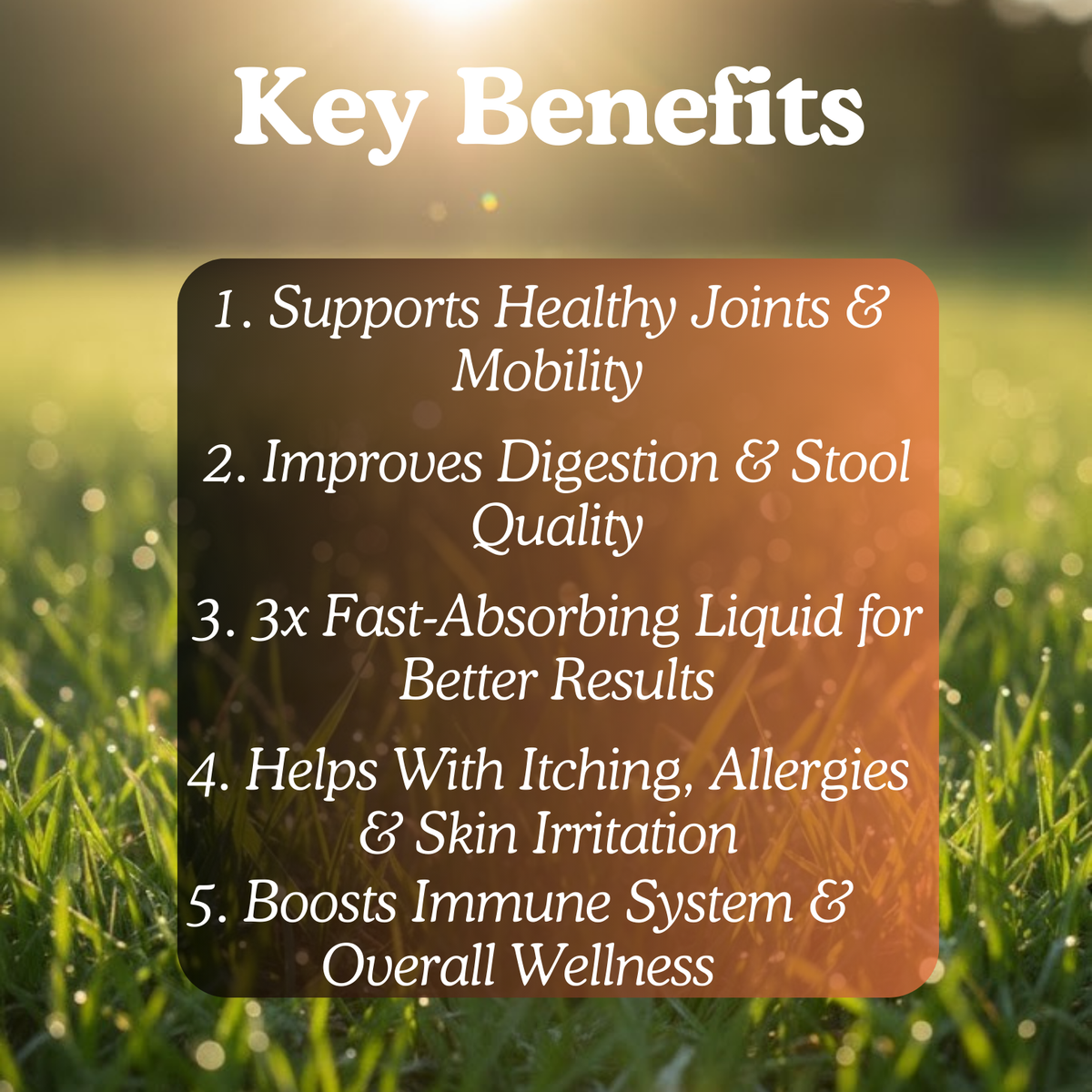 ForeverPets® PRO+ Gut & Joint Probiotic Drops™